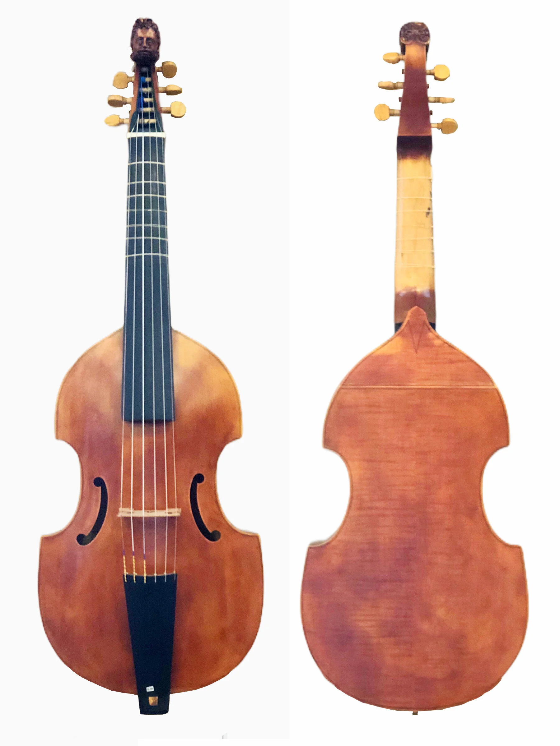 Dominik Zuchowicz - Six-String Tenor Viol — Terra Nova Violins